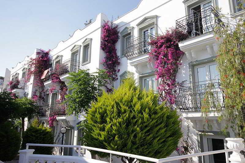 Maison 48 Apart Hotel Gümbet Kültér fotó